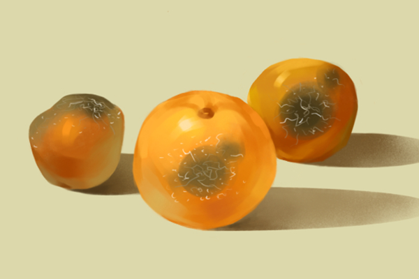 备孕不能吃什么 备孕期饮食禁忌